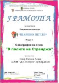 Участие в Национален конкурс " Шарено петле"- Модул 1: Фотография- " В полите на Странджа" - ЦСОП Доктор Петър Берон - Кърджали 